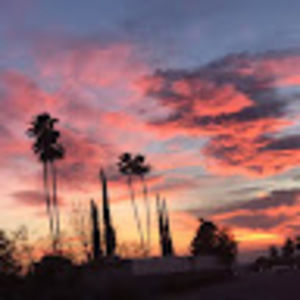 Meet your Posher, Leo